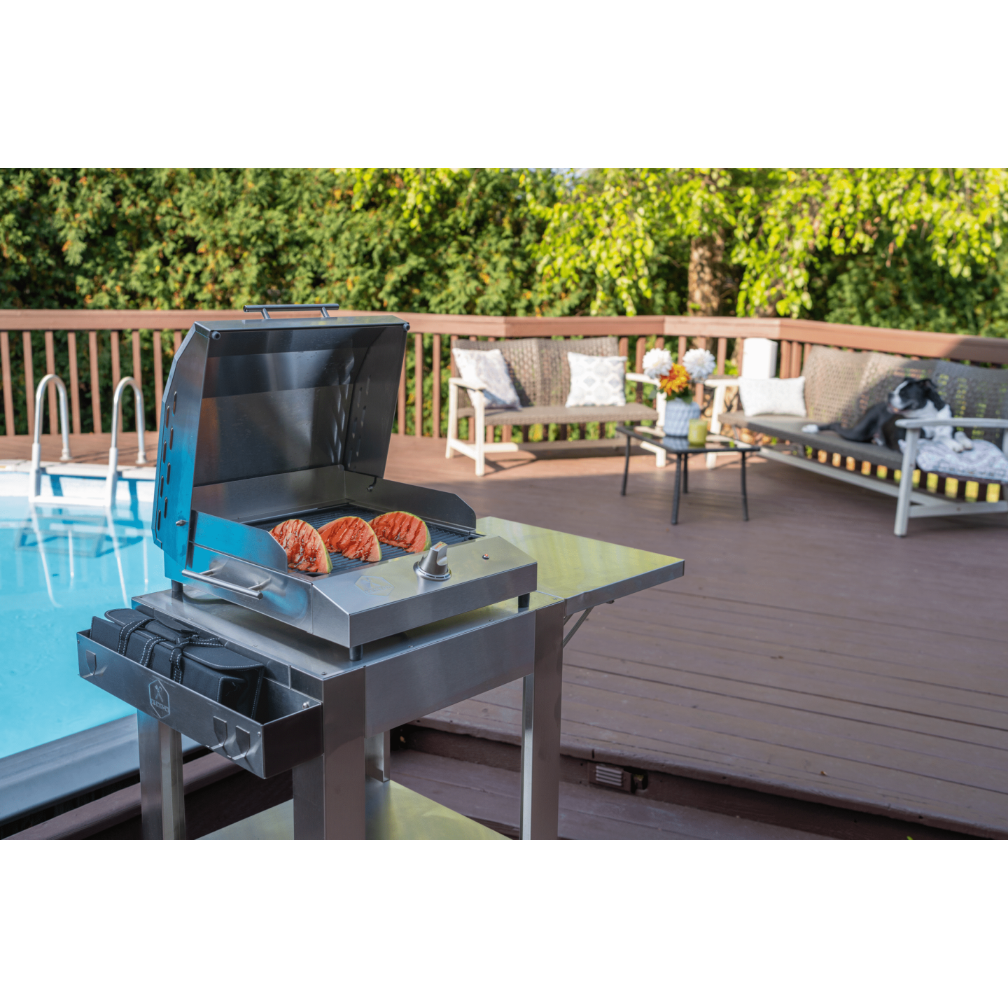 Kenyon G2 27" 120V 1-Burner Electric Grill With Stand
