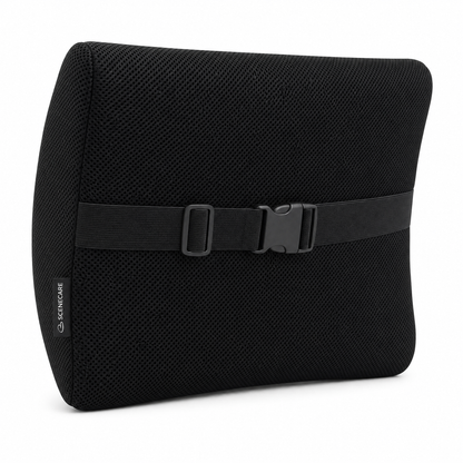 CENECARE Ergonomic Memory Foam Lumbar Support Cushion for Office Chair