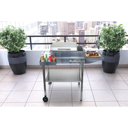 Kenyon Frontier 21" 1-Burner Freestanding Electric Grill