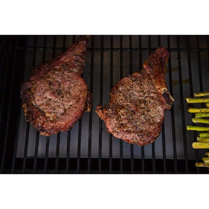 Prime Pellet Grills KC King 600 Electric Pellet Grill by Fire Sense